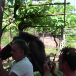 IMG_0699